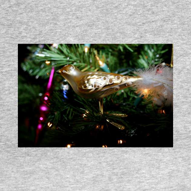 Christmas Ornament 1 by Rob Johnson Photography